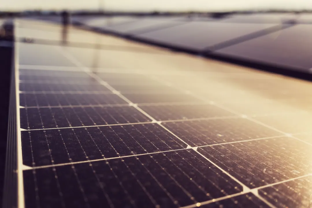 Solar panel cells in close-up, catching low sunlight